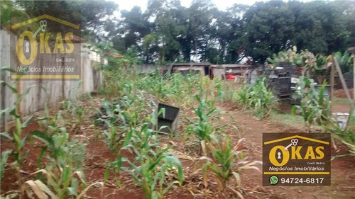 Imagem 6 de 6 de Chácara Com 1 Dormitório À Venda, 900 M² Por R$ 350.000,00 - Chácaras Reunidas Guaio - Suzano/sp - Ch0014
