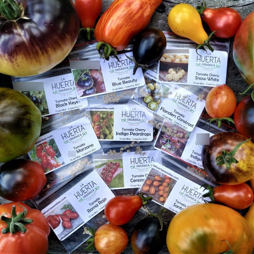 Semillas Tomate Black Keyes! El Cherry Más Negro Que Existe