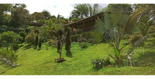 Venta Finca De 35he En La Cumbre, Valle Del Cauca 10199.