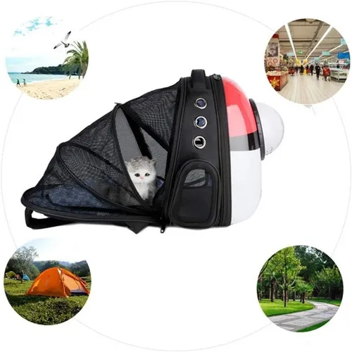 Mochila gato pokemon hotsell