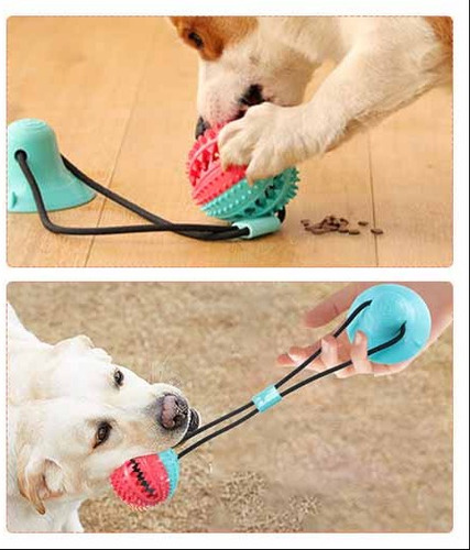 Cepillo De Dientes Duradero Para Mascotas Con Mordedura Mola