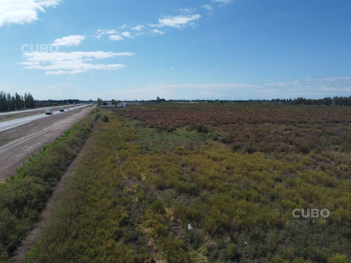 3 Hectareas Acceso Este San Roque Maipú - Mendoza