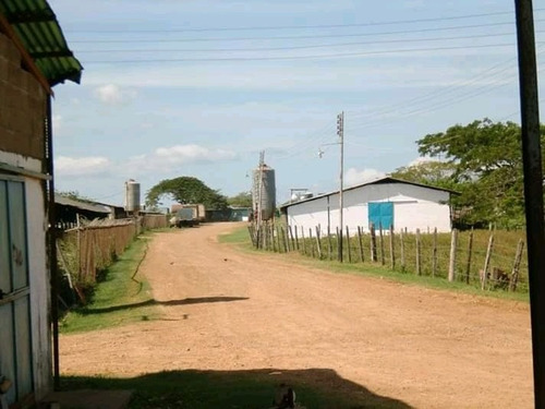 Imagen 12 de 13 de Venta Finca Avicola En Anzoategui