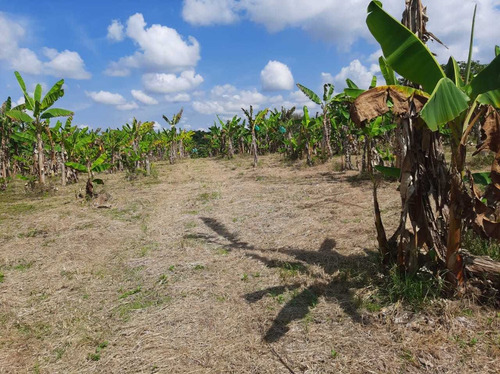 Imagen 3 de 20 de Se Vende Finca De 29.5 Cuadras Cerca Parque Del Café