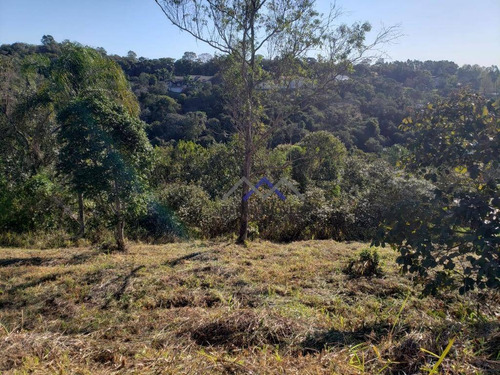 Imagem 4 de 15 de Terreno À Venda, 6000 M² Por R$ 493.000,00 - Ivoturucaia - Jundiaí/sp - Te0379
