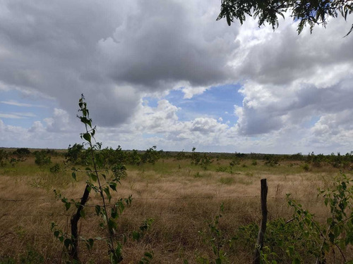 Se Vende Finca En Aribi, Via Al Sur De Monagas Ve02-554vs-dced