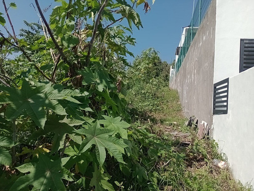 Terreno Residencial En Fracc. Lomas De Cocoyoc.