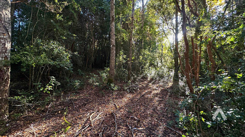 Parcela En Venta A 25 Minutos De Pucón (71229)