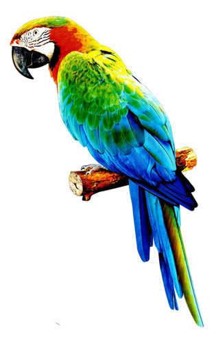 Z Figuritas De Loros Artificiales Animales En Estilo C