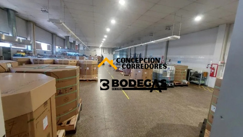 Arriendo Bodega De 984m2 C/oficina En Indepndencia