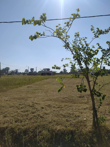Imagen 3 de 5 de Lote Nº 97, En Venta, Loteo Los Naranjos, Rqta