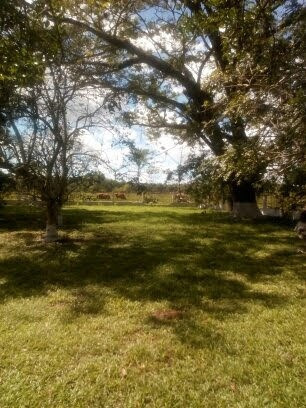 Imagen 5 de 9 de Se Vende Finca En Morichales Sector Cachipo Punceres Ve01-1029pu-mimot