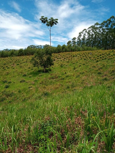 Rt Terrenos Longe Da Poluição (prox. São José Dos Campos)