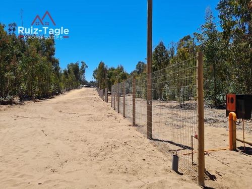 Imagen 6 de 9 de El Tebo, Horcón Lotes De 1.000 Mt2 A Pasos Del Mar.