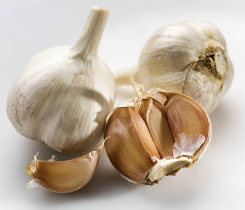 Alho Cabeça Graudo Selecionado Plantio Consumo Culinaria 5k