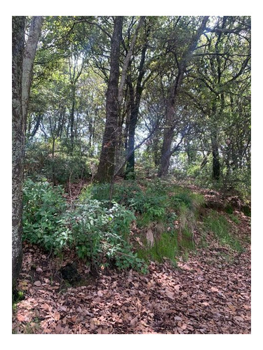 Imagen 10 de 15 de Terreno En Av.desierto De Los Leones