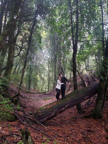 Malalcahuello / Corralco / Bosque Nativo / Rio Cautín