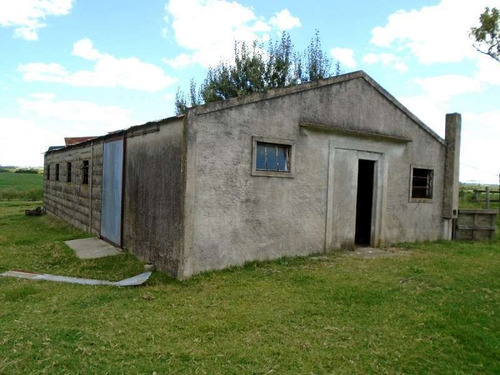 Colonia - 129 Has Nueva Helvecia