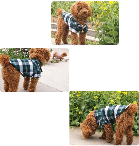 Gatos, Perritos Conjunto De Verano Para Mascotas Pequeñas Rojo-verde Mascota