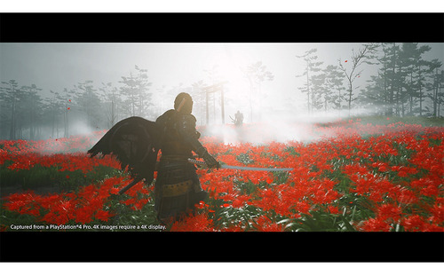 Ghost Of Tsushima Standard Edition Ps4 Juego Nuevo Original