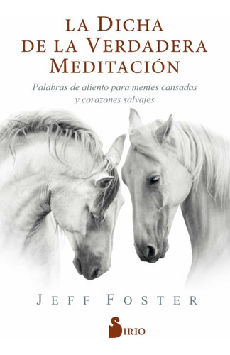 La Dicha De La Verdadera Meditacion - Jeff Foster