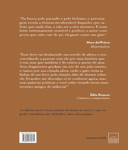 Passos Perderam Possibilidades Peregrinas, De Affonso Ferreira, Evandro. Editora Azuco Atividades Artisiticas, Capa Mole Em Português