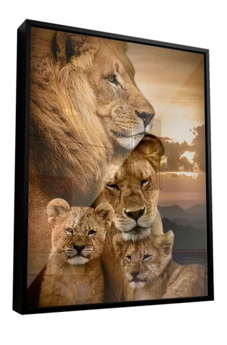 Quadro Família Leões Coloridos 65x48cm Moldura C/ Vidro