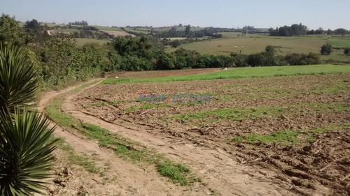Imagem 3 de 4 de Área À Venda Em Santa Cruz - Ar237726