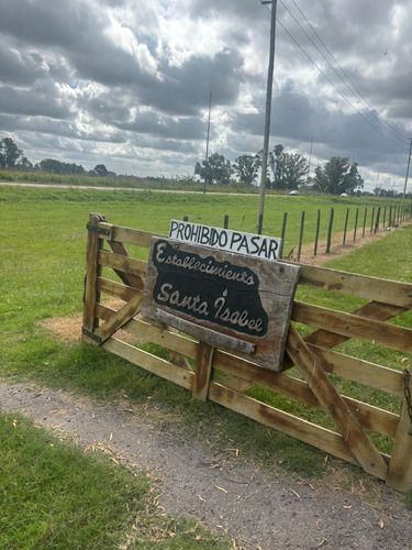 Campo En Alquiler, Gral. Rodríguez