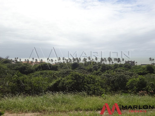 Imagem 7 de 14 de Terreno Condominio Palms Spring Em Nova Cidade