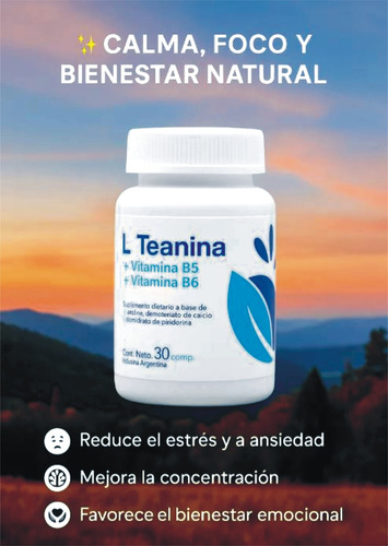 Teanina Vit B5 B6 Sueño Relajación Y Concentración-combo X 2 Sin Sabor