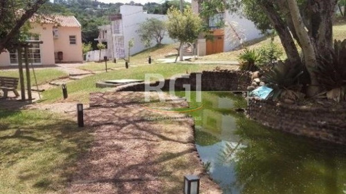 Imagem 4 de 6 de Terreno - Vila Nova - Ref: 322693 - V-mi14531