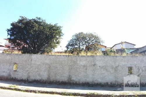 Imagem 3 de 4 de Casa À Venda No Santa Amélia - Código 332642 - 332642