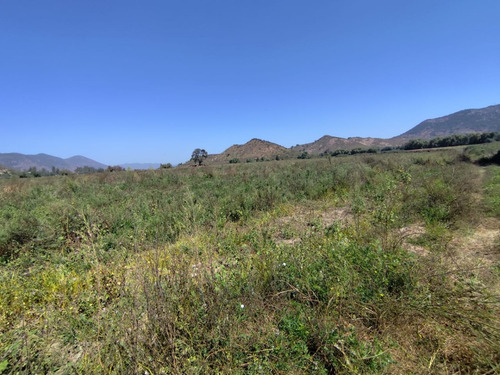 Arriendo Anual - 44 Ha Terreno Agrícola Cultivo Siembra