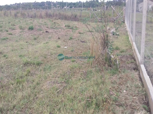 Imagem 9 de 18 de Chacara - Ch00126 - 68868949