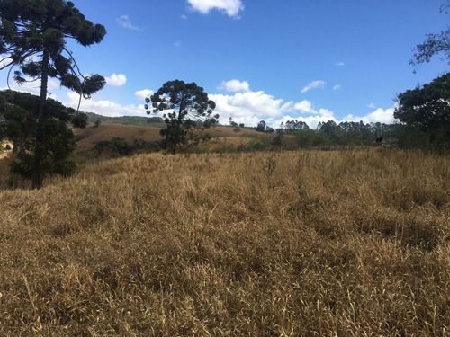 Imagem 9 de 24 de Chácara À Venda, 2800 M² Por R$ 80.000 - Zona Rural - Caldas/mg - Ch0126