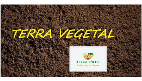 Terra Vegetal Pura Sem Esterco Ideal Para Apartamentos
