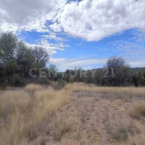 Terreno En Venta En Las Amapolas, San Francisco De Los Romos En Aguascalientes