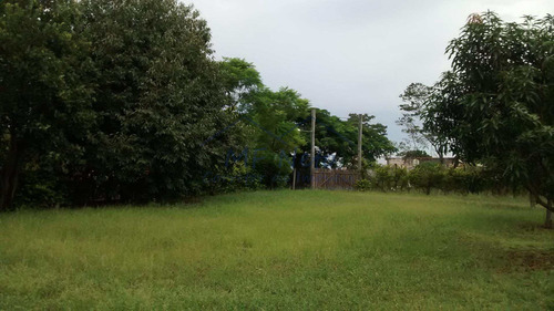 Imagem 11 de 16 de Chácara Com 3 Dorms, Zona Rural, Tambaú - R$ 550.000,00, 8.400m² - Codigo: 10131469 - V10131469
