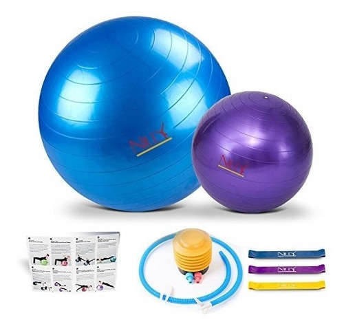 Nilly Yoga Y Pilates Ejercicio Ball Home Gym Kit 4piece Set 