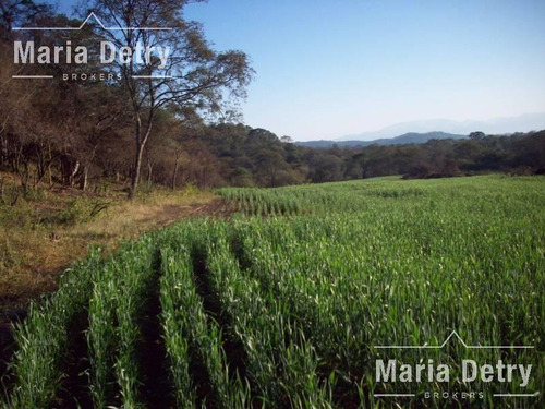 Imagen 3 de 6 de Venta Campo - Metan Viejo 7200 Ha
