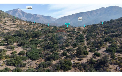 Para Inversionistas 78 Hectáreas En Valle De Caleu