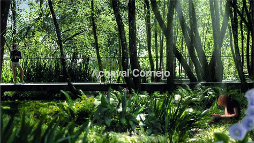 Imagen 3 de 20 de Puertos Escobar - Nativas - Nuevo Lanzamiento ! Lote En Venta.