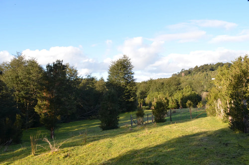 Terreno Con Bosque Nativo, Bosque De Arrayanes Y Riachuelo