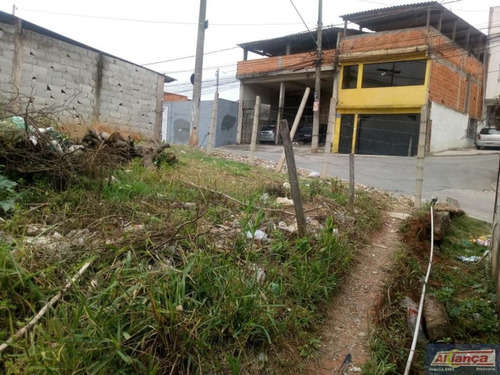 Imagem 8 de 15 de Terreno À Venda, 540 M² - Vila Sítio Dos Morros - Guarulhos/sp - Ai15226