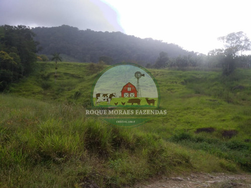 Imagem 2 de 28 de Fazenda À Venda No Vale Do Ribeira Sp Medindo 87,5 Alqueires Paulista Ref0978