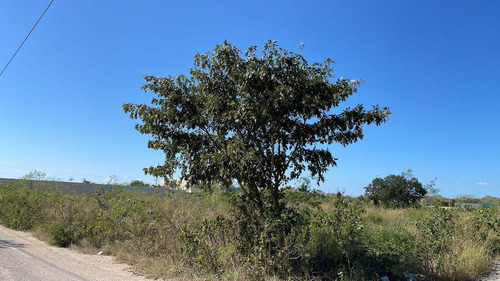 Terreno En Temozón Norte