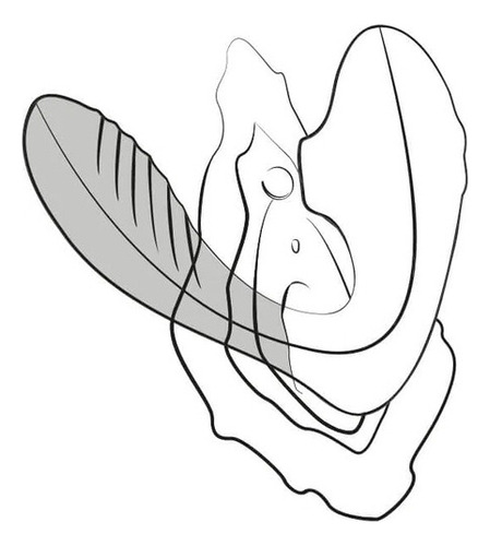 Vibrador Punto G Y Succionador De Clitoris Romp Revervb
