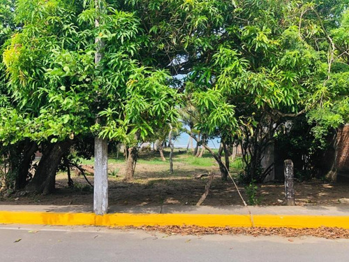 Imagen 3 de 10 de Terreno En Venta Anton Lizardo Mata De Uva