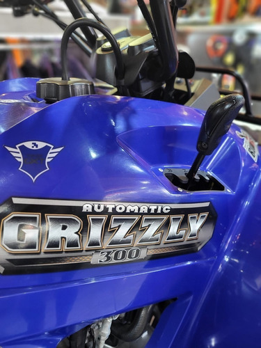 Imagen 5 de 13 de Yamaha Grizzly 300 Excelente Estado Tamburrino Motos